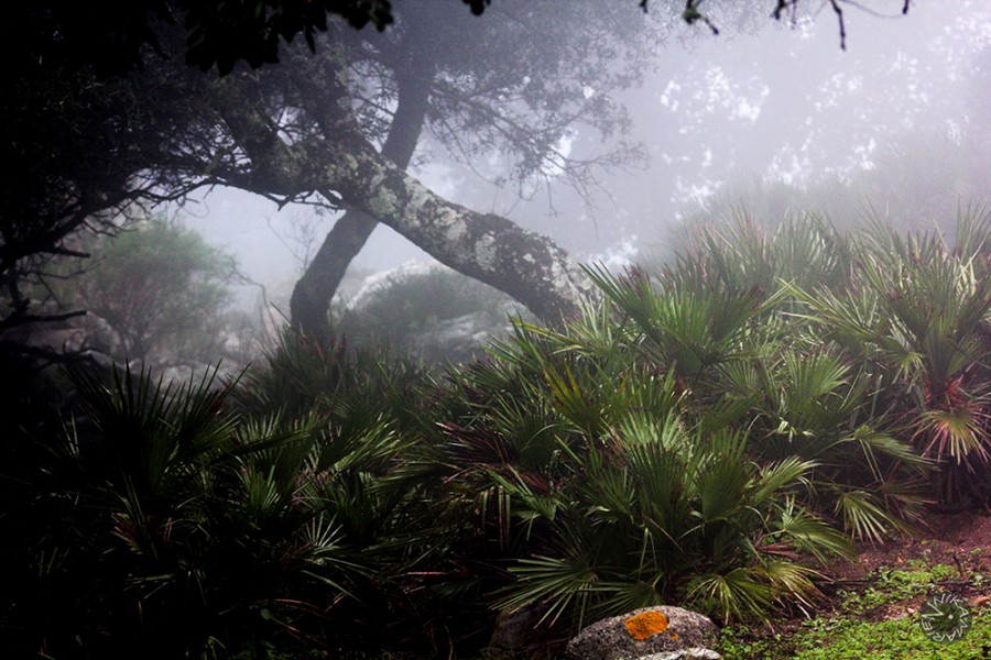 Biodiversity Hotspot, Bolonia, Spain           