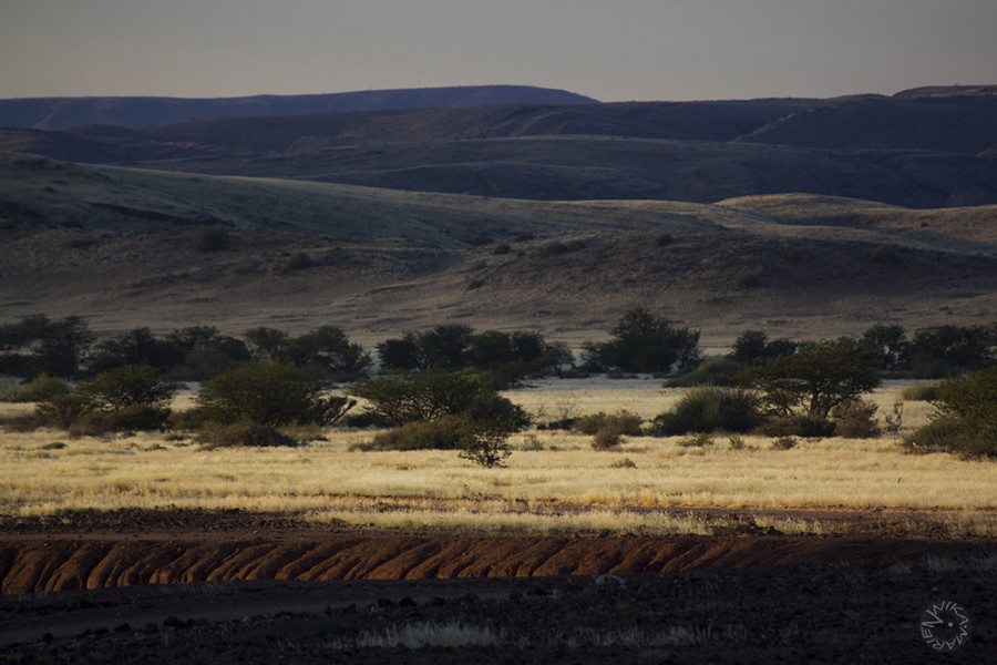 Namib Oasis, Namibia           