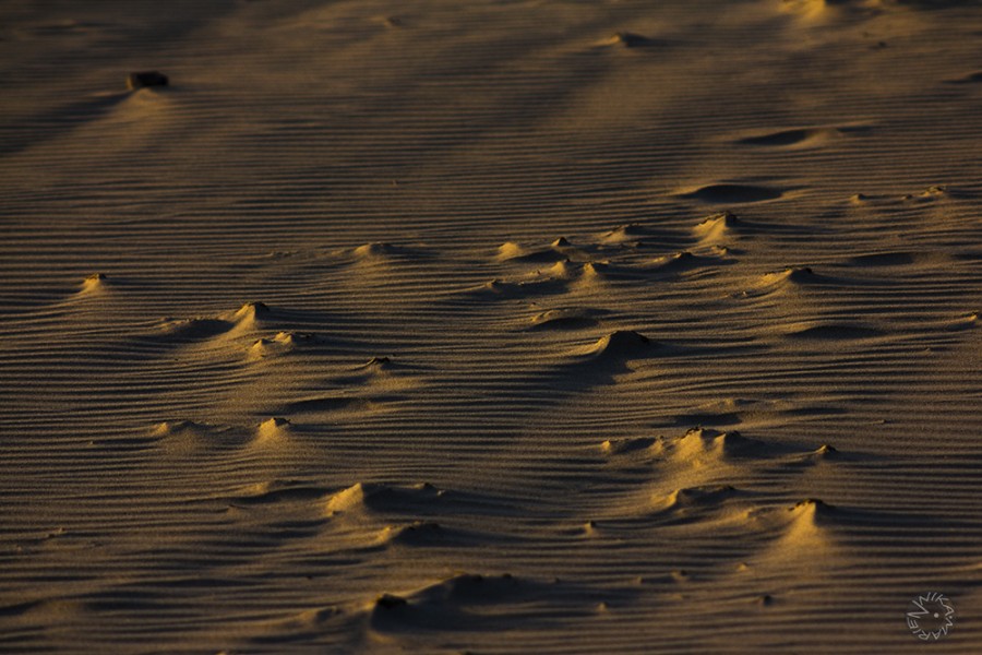 Effect of wind over sand   