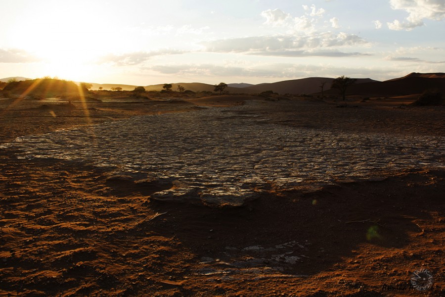 Namib desert, Namibia   