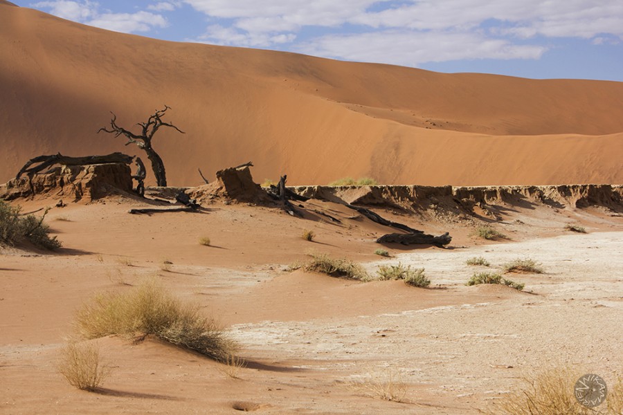 Namib desert Deadvlei, Namibia   