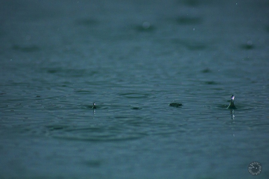 Rain drops, Africa   